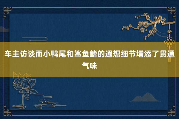 车主访谈而小鸭尾和鲨鱼鳍的遐想细节增添了贯通气味