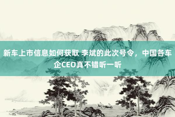 新车上市信息如何获取 李斌的此次号令，中国各车企CEO真不错听一听