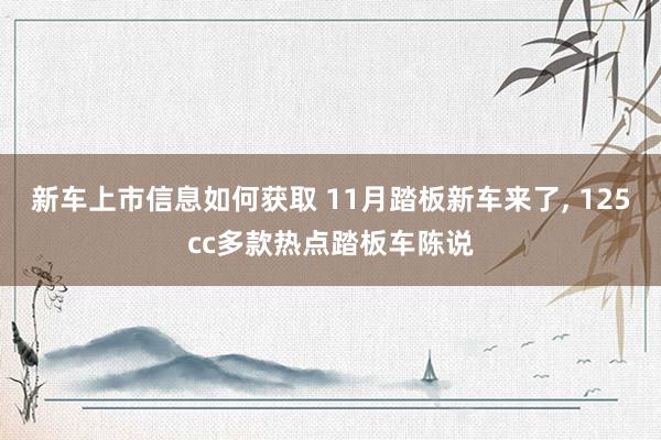 新车上市信息如何获取 11月踏板新车来了, 125cc多款热点踏板车陈说