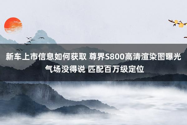 新车上市信息如何获取 尊界S800高清渲染图曝光 气场没得说 匹配百万级定位