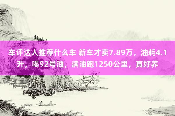 车评达人推荐什么车 新车才卖7.89万，油耗4.1升，喝92号油，满油跑1250公里，真好养