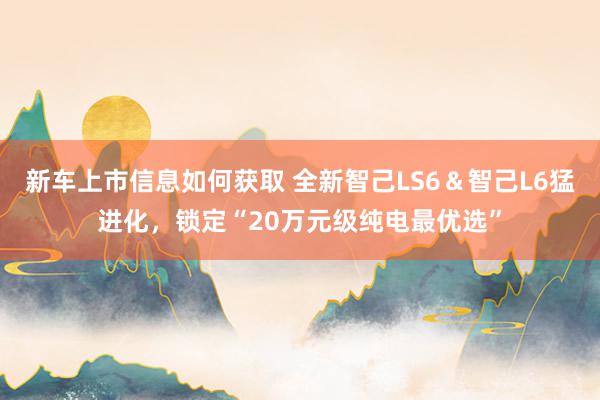 新车上市信息如何获取 全新智己LS6＆智己L6猛进化，锁定“20万元级纯电最优选”