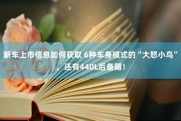 新车上市信息如何获取 6种车身模式的“大怒小鸟”，还有440L后备厢！