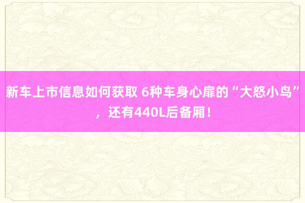 新车上市信息如何获取 6种车身心扉的“大怒小鸟”，还有440L后备厢！