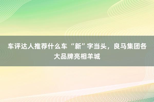 车评达人推荐什么车 “新”字当头，良马集团各大品牌亮相羊城