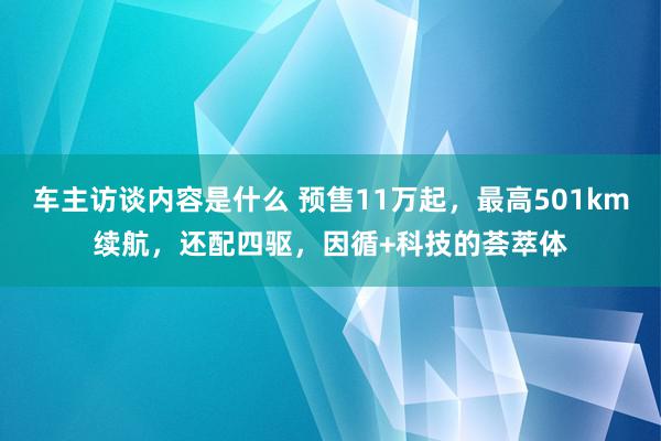 车主访谈内容是什么 预售11万起，最高501km续航，还配四驱，因循+科技的荟萃体