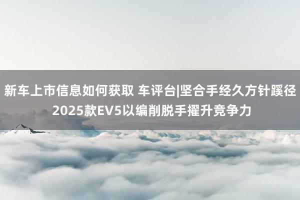 新车上市信息如何获取 车评台|坚合手经久方针蹊径 2025款EV5以编削脱手擢升竞争力