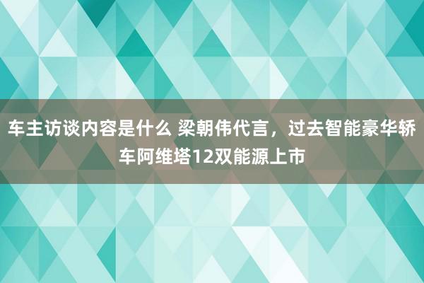 车主访谈内容是什么 梁朝伟代言，过去智能豪华轿车阿维塔12双能源上市