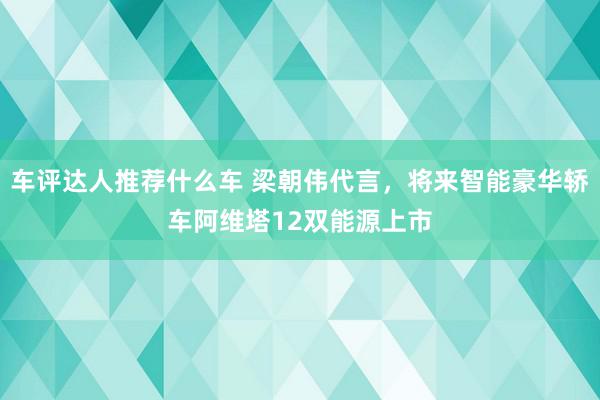 车评达人推荐什么车 梁朝伟代言，将来智能豪华轿车阿维塔12双能源上市