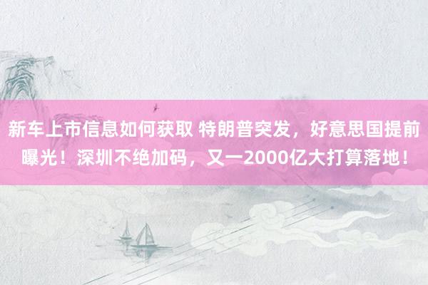 新车上市信息如何获取 特朗普突发，好意思国提前曝光！深圳不绝加码，又一2000亿大打算落地！