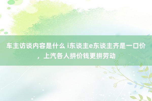 车主访谈内容是什么 i东谈主e东谈主齐是一口价，上汽各人拼价钱更拼劳动