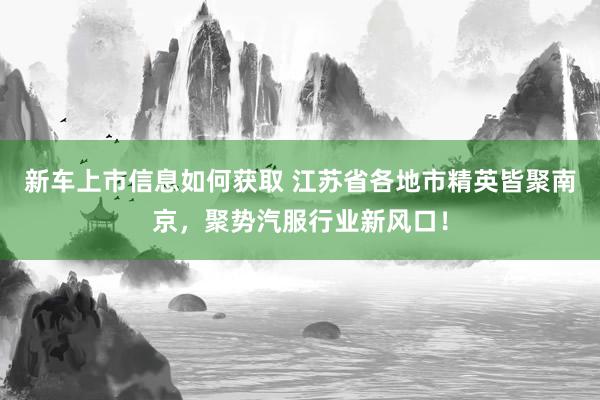 新车上市信息如何获取 江苏省各地市精英皆聚南京，聚势汽服行业新风口！