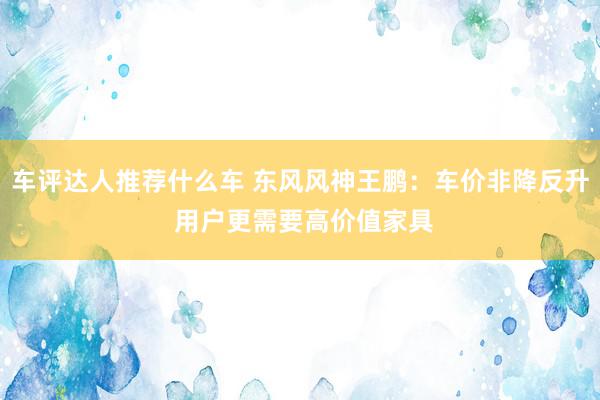 车评达人推荐什么车 东风风神王鹏：车价非降反升 用户更需要高价值家具