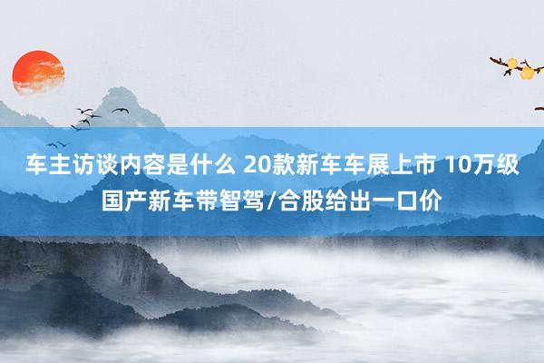 车主访谈内容是什么 20款新车车展上市 10万级国产新车带智驾/合股给出一口价