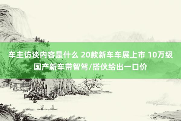 车主访谈内容是什么 20款新车车展上市 10万级国产新车带智驾/搭伙给出一口价