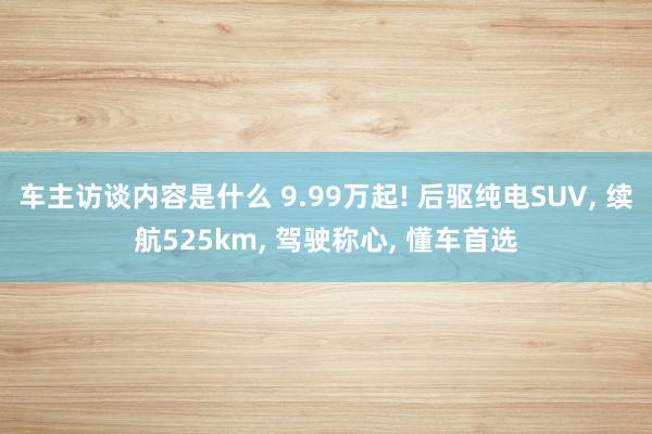 车主访谈内容是什么 9.99万起! 后驱纯电SUV, 续航525km, 驾驶称心, 懂车首选