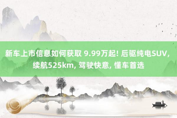 新车上市信息如何获取 9.99万起! 后驱纯电SUV, 续航525km, 驾驶快意, 懂车首选