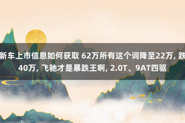 新车上市信息如何获取 62万所有这个词降至22万, 跌40万, 飞驰才是暴跌王啊, 2.0T、9AT四驱