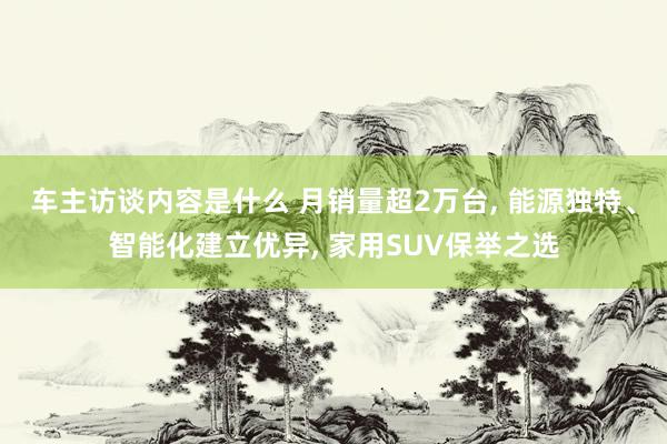 车主访谈内容是什么 月销量超2万台, 能源独特、智能化建立优异, 家用SUV保举之选