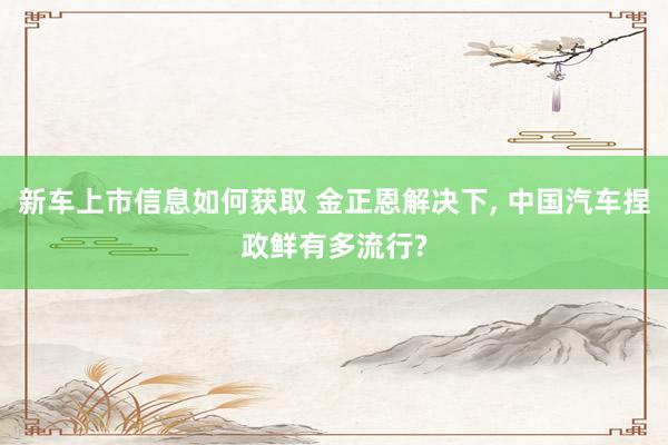 新车上市信息如何获取 金正恩解决下, 中国汽车捏政鲜有多流行?