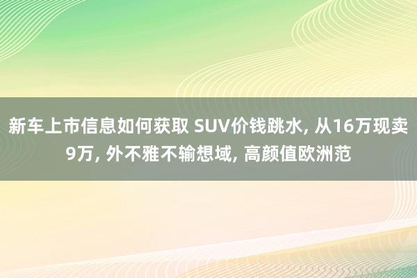 新车上市信息如何获取 SUV价钱跳水, 从16万现卖9万, 外不雅不输想域, 高颜值欧洲范