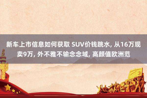 新车上市信息如何获取 SUV价钱跳水, 从16万现卖9万, 外不雅不输念念域, 高颜值欧洲范