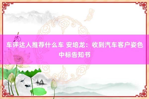 车评达人推荐什么车 安培龙：收到汽车客户姿色中标告知书