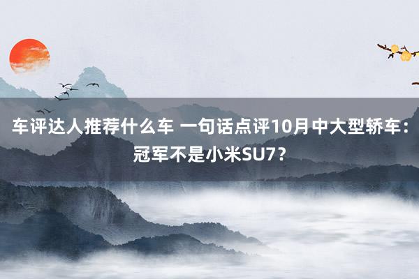 车评达人推荐什么车 一句话点评10月中大型轿车：冠军不是小米SU7？