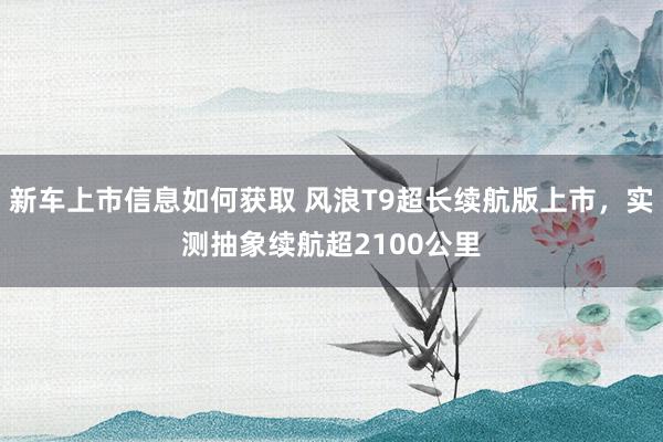 新车上市信息如何获取 风浪T9超长续航版上市，实测抽象续航超2100公里