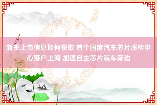 新车上市信息如何获取 首个国度汽车芯片质检中心落户上海 加速自主芯片装车旁边