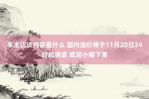 车主访谈内容是什么 国内油价将于11月20日24时起调遣 或迎小幅下落